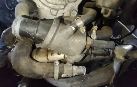 Alfa Romeo 156 Engine coolant pipe/hose