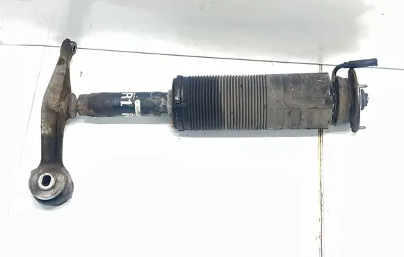 Mercedes-Benz CL C215 Front shock absorber/damper A2203200238