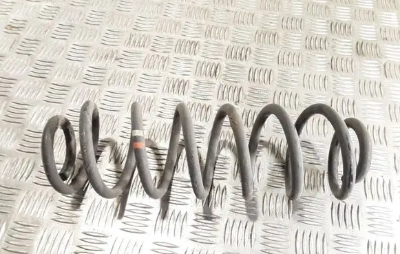 Volkswagen PASSAT B6 Rear coil spring
