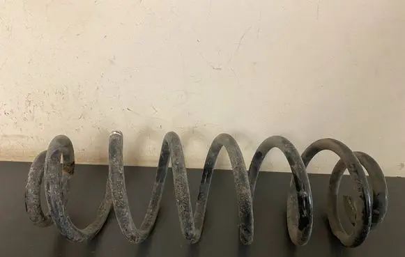 Volkswagen PASSAT B6 Rear coil spring