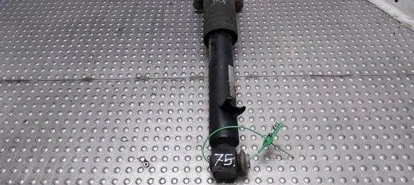 BMW X6 E71 Rear shock absorber/damper 6788511