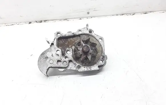 Renault Scenic I Water pump