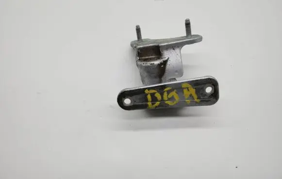 Rear door lower hinge