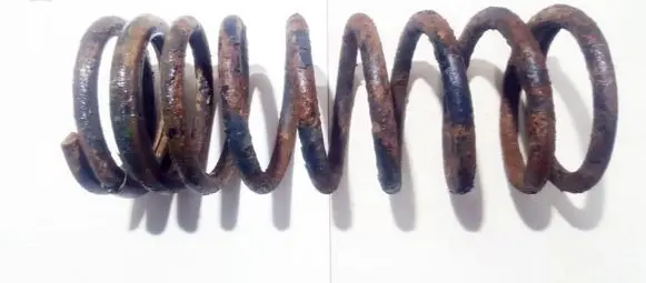 Front coil spring