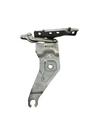 BMW X5 E70 Engine bonnet/hood hinges 720862701