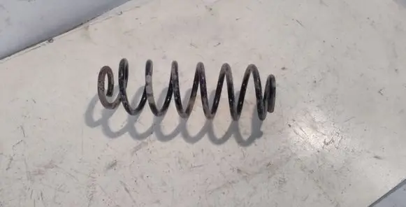 Volkswagen PASSAT B6 Rear coil spring