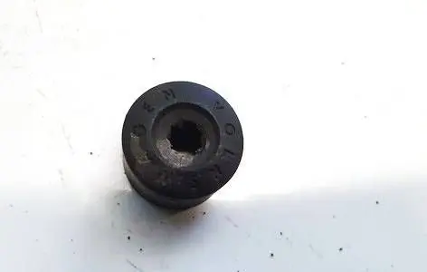 Volkswagen Golf V Wheel nut cap/cover 1k0601173