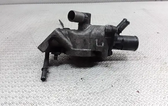 Thermostat/thermostat housing