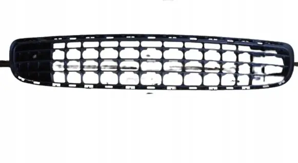 Mini Cooper Countryman R60 Front bumper lower grill 11460913