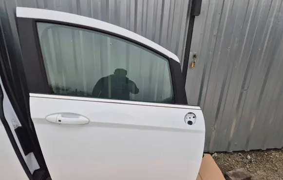 Ford B-MAX Front door 