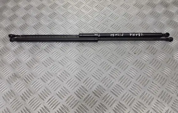 Citroen Xsara Picasso Tailgate hydraulic set 9657577080