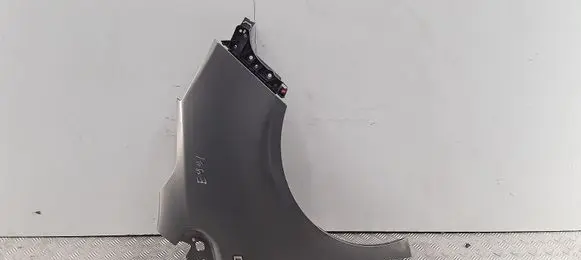 Fender