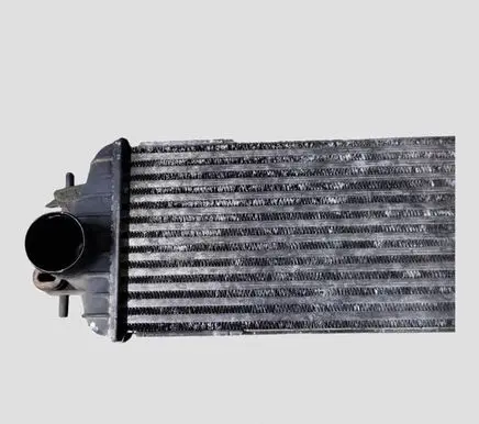 Renault Trafic II (X83) Intercooler radiator