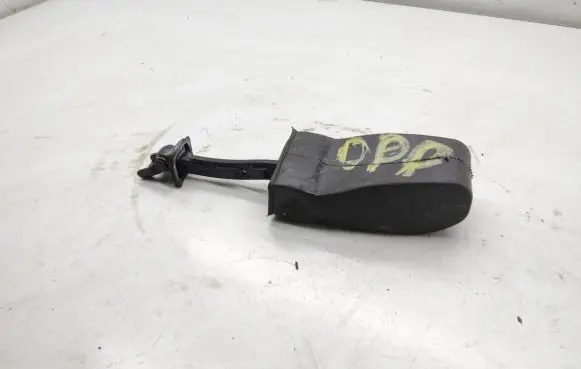Volkswagen Tiguan Front door check strap stopper 5N0837267