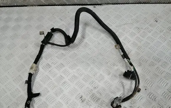 Dacia Logan II Negative earth cable (battery) 250825784R A4549054500