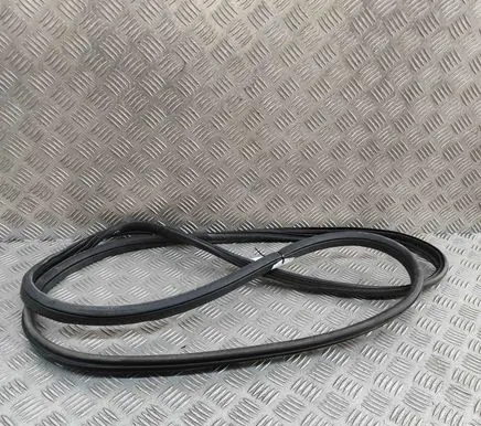 Nissan Ariya Rubber seal front door (on door) 808305MP0A