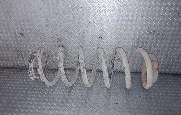 Volkswagen PASSAT B6 Rear coil spring 