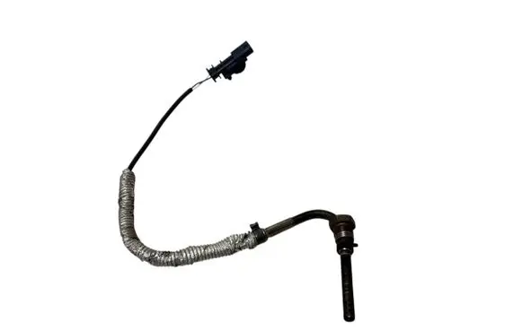 Exhaust gas temperature sensor