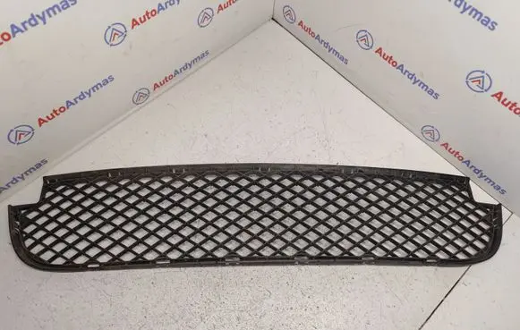 BMW X3 E83 Front bumper lower grill 51113416203