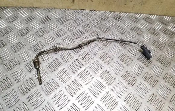Exhaust gas temperature sensor