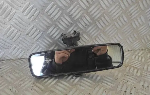 Rear view mirror (interior)