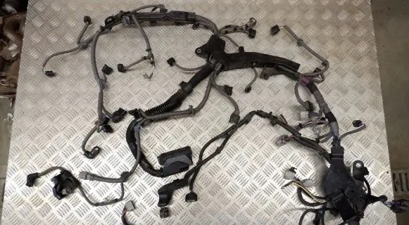 Engine installation wiring loom