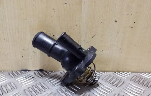 Thermostat/thermostat housing