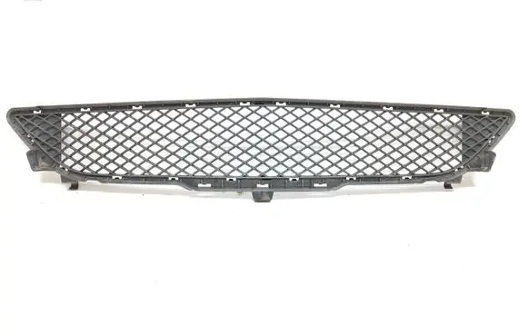 Front bumper lower grill