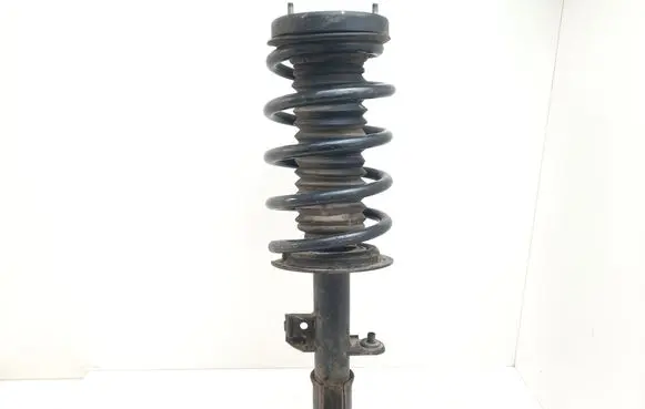 BMW X5 E53 Front shock absorber with coil spring 1096271