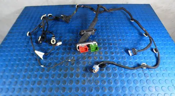 Front door wiring loom