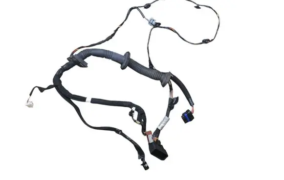 Front door wiring loom