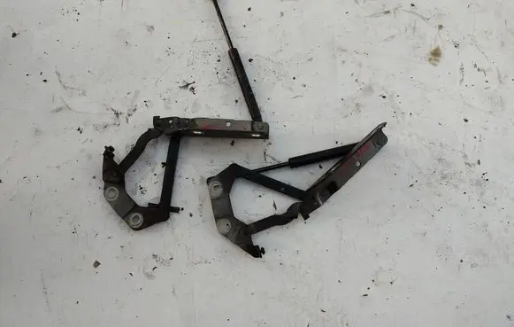 Land Rover Evoque I Engine bonnet/hood hinges 