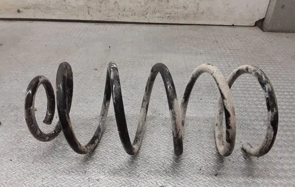 Volkswagen New Beetle Front coil spring