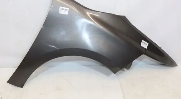 Citroen C4 II Picasso Fender 