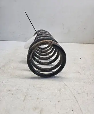 Rear coil spring