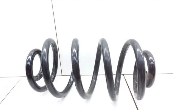 Rear coil spring
