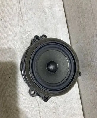 Rear door speaker