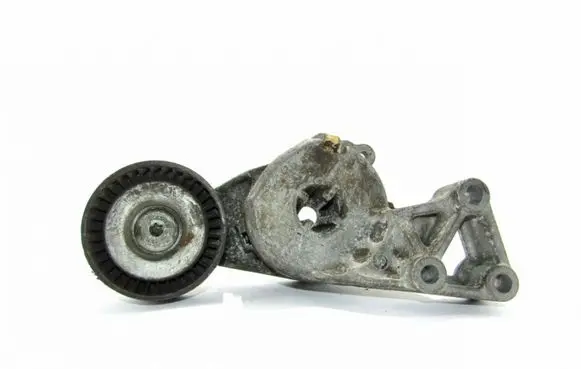 Volkswagen Bora Alternator belt tensioner 06A903315E