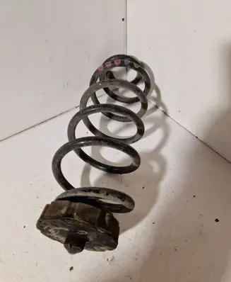 Rear coil spring