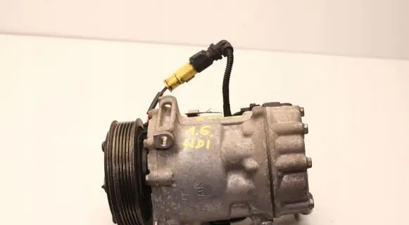Peugeot 5008 Air conditioning (A/C) compressor (pump) 9800839580