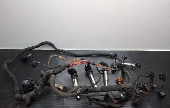 Volkswagen PASSAT B7 Engine installation wiring loom 036905715F 8K0973704 113551141