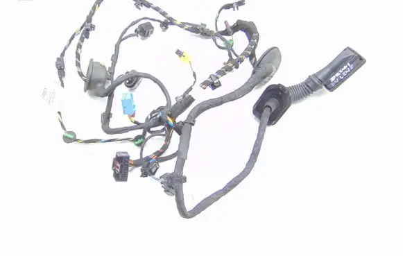 Audi R8 4S Front door wiring loom 4S8971029C