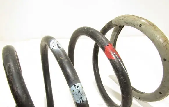 Rear coil spring