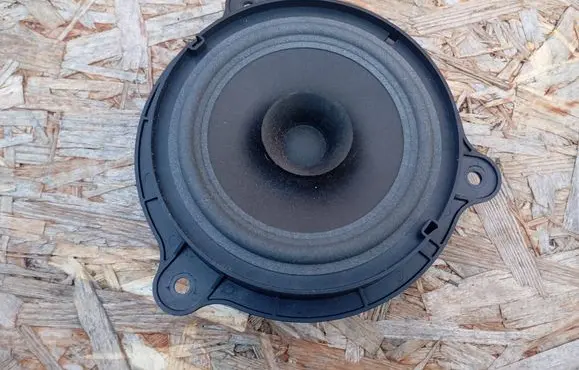 Renault Koleos I Rear door speaker 7606500254 28156JV00A
