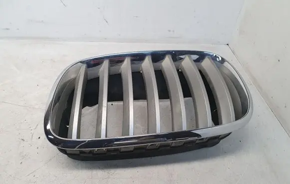 BMW X5 E70 Front grill 51137171395