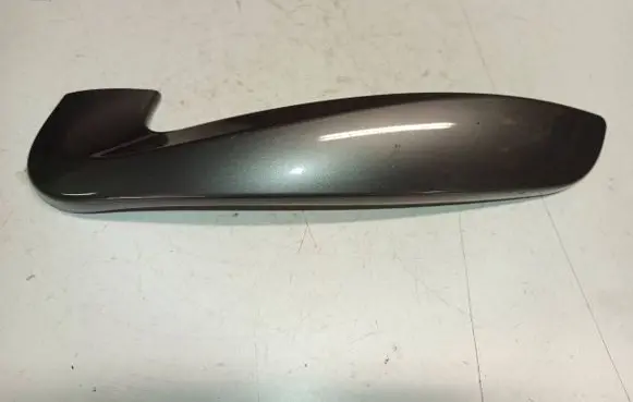 Renault Laguna III Other interior part 809600009r