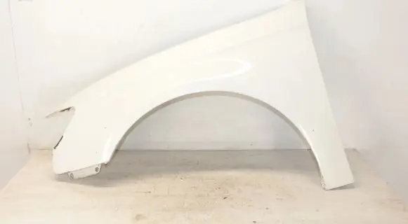 Audi A3 S3 8V Fender
