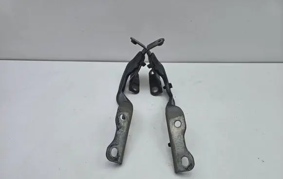 Toyota C-HR I Engine bonnet/hood hinges 