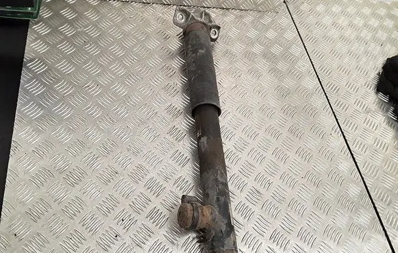 Opel Astra J Rear shock absorber/damper 13392211