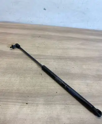 Tailgate/trunk strut/damper